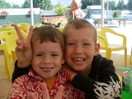 mes crapauds